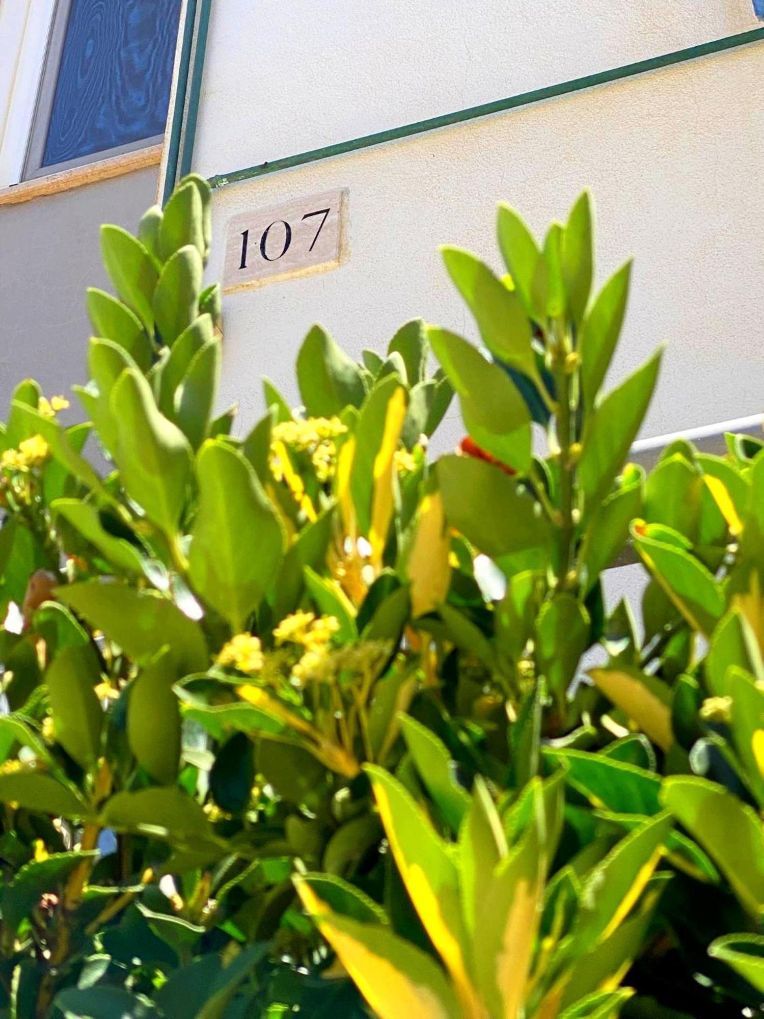 Apartment 107 - Roma Fiumicino Esterno foto